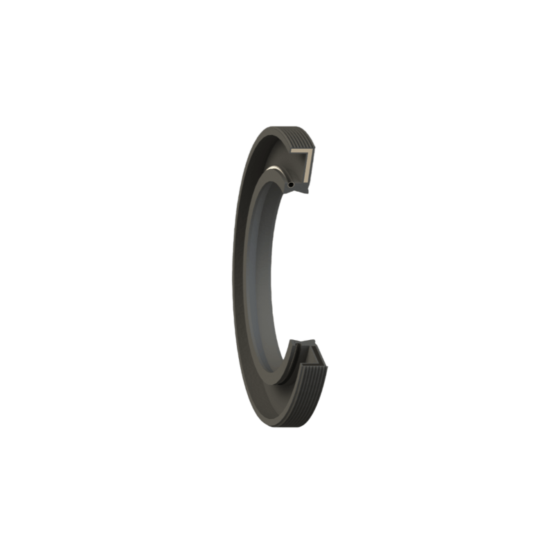 BE 30x68x10 CC STRIEE NBR (BE306810GPX7)